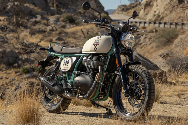 BEAR650